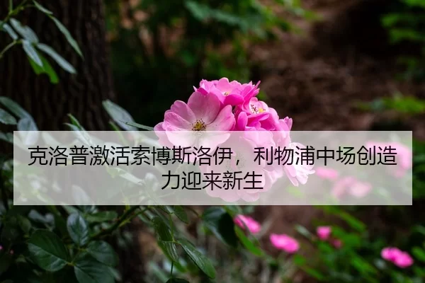 ke-luo-pu-ji-huo-suo-bo-si-luo-yi-li-wu-pu-zhong-chang-chuang-zao-li-ying-lai-xin-sheng-3-927.jpg